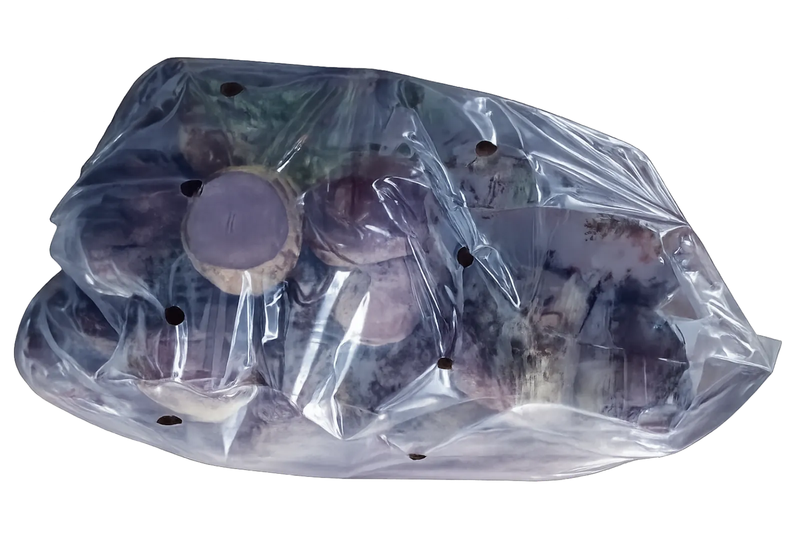 Betabel Suelto Bolsa, 25 lb