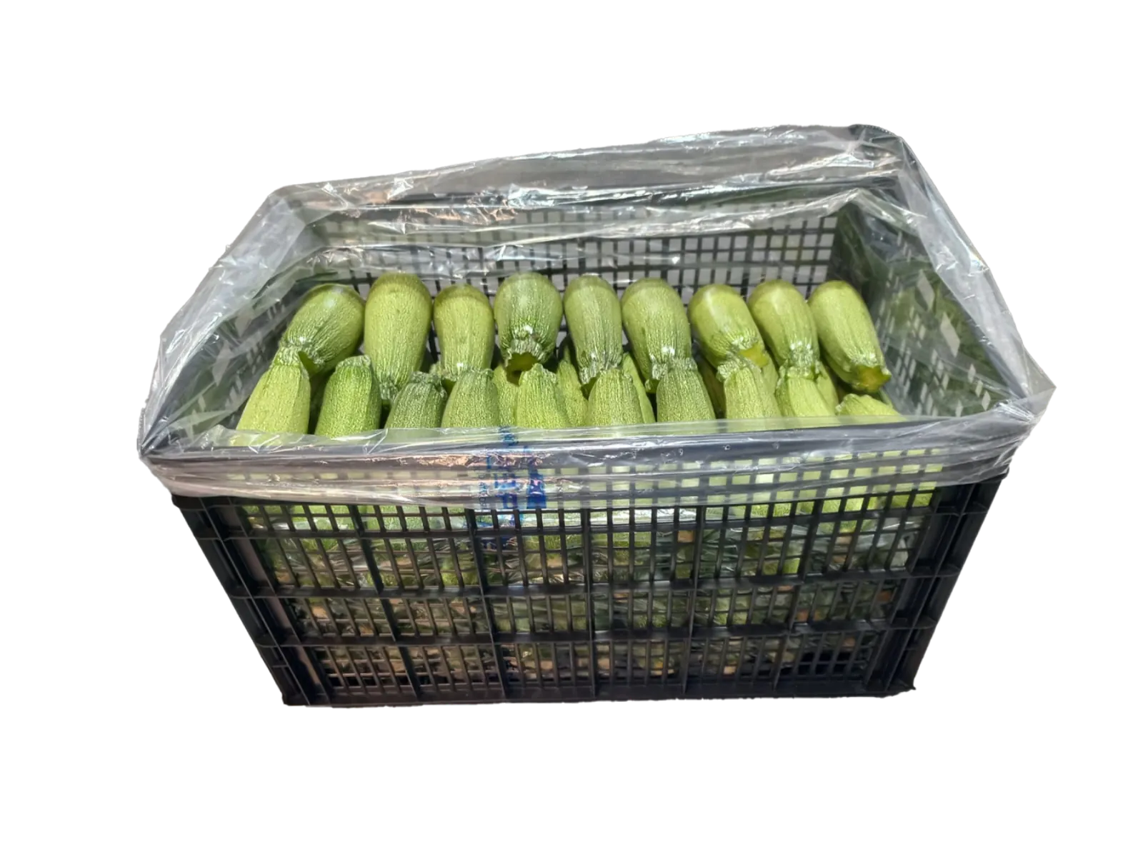 Gray Squash X Bag Plastic Box, 36 lb