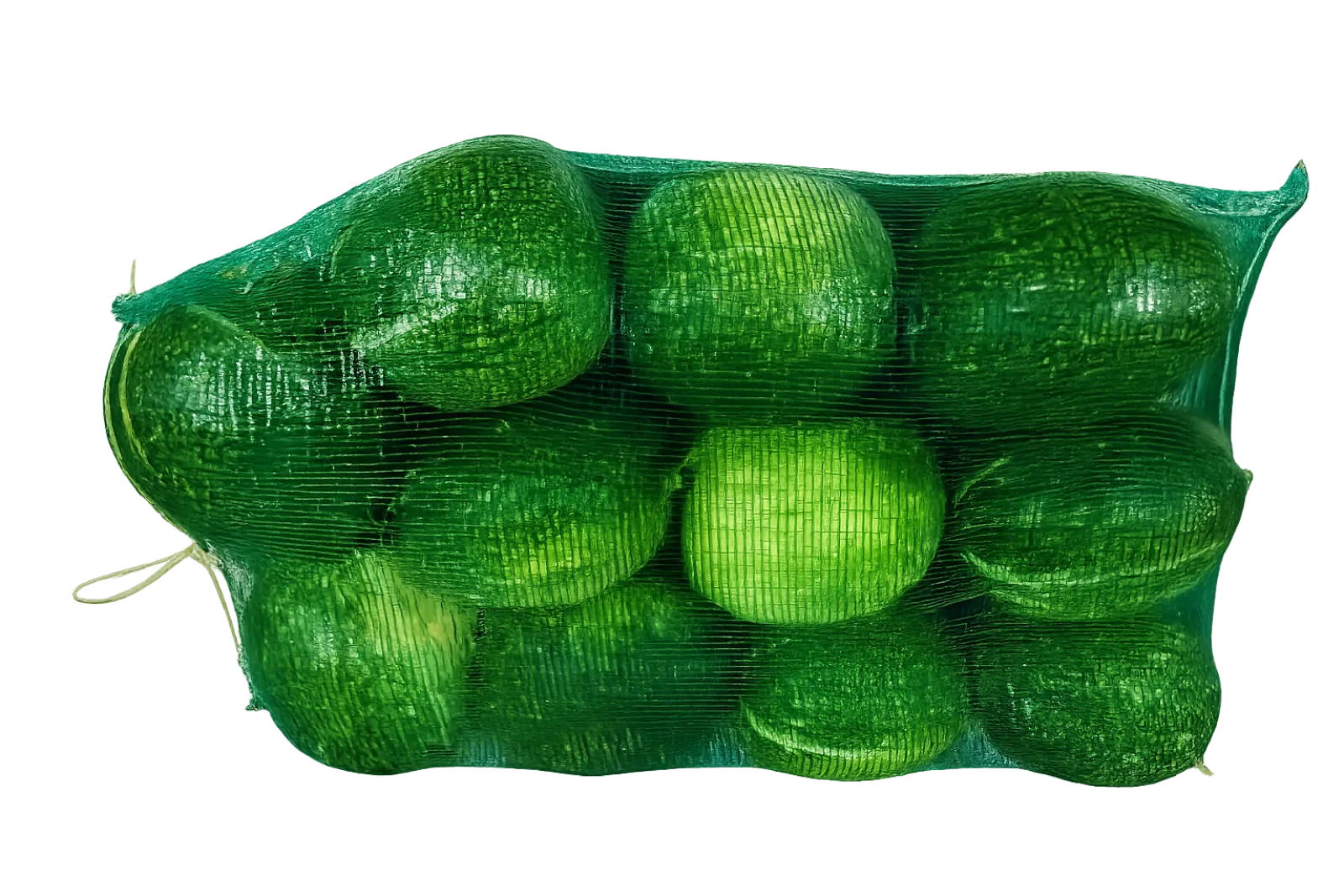 Large Chilacayote Squash Mesh Sack, 40 lb