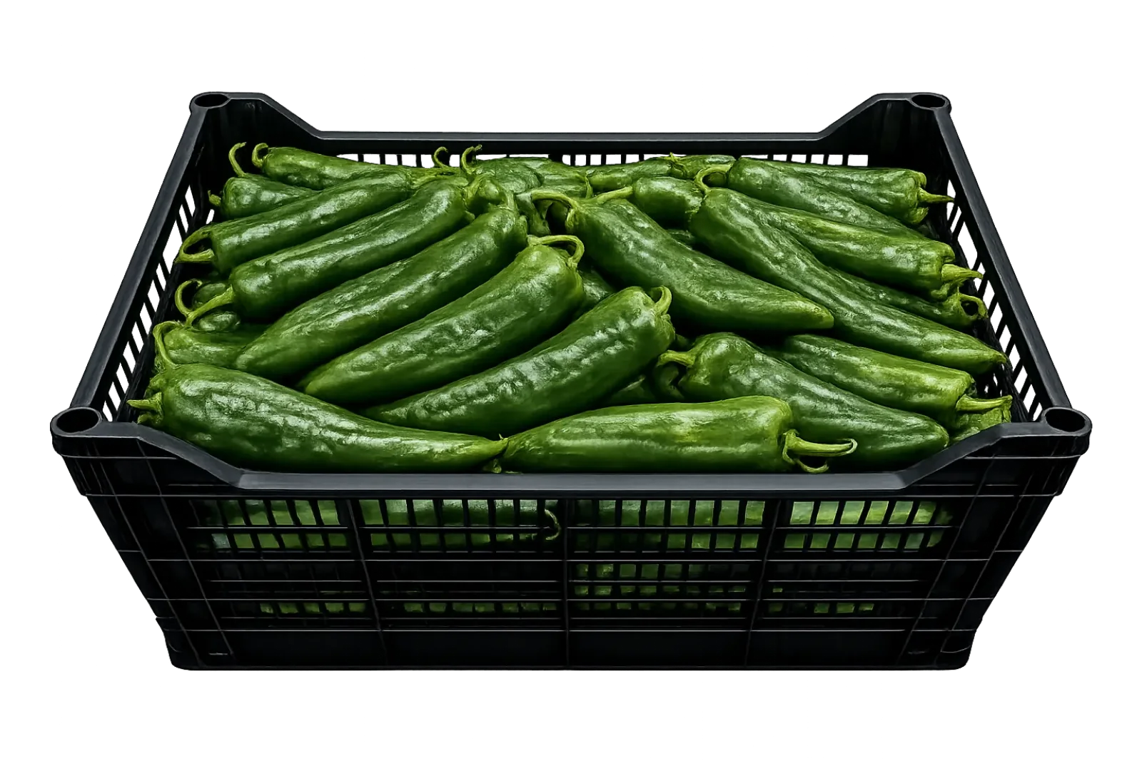 Anaheim Pepper Plastic Box, 20 lb