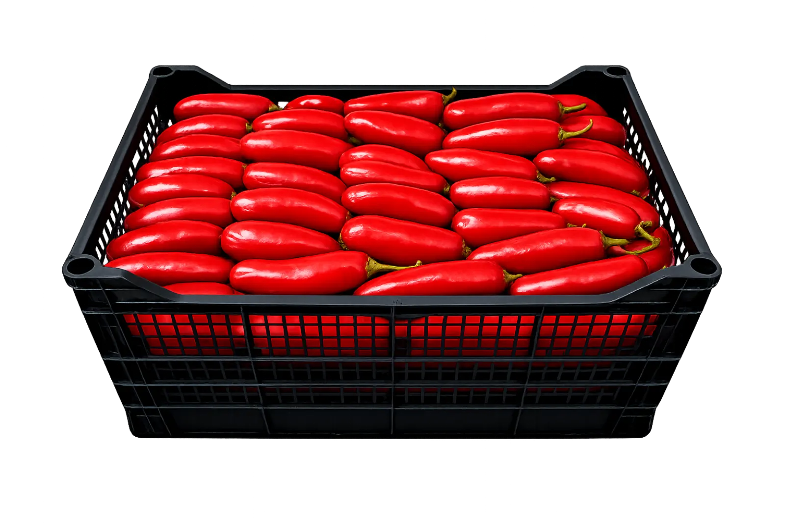 Red Jalapeño Pepper Plastic Box, 35 lb