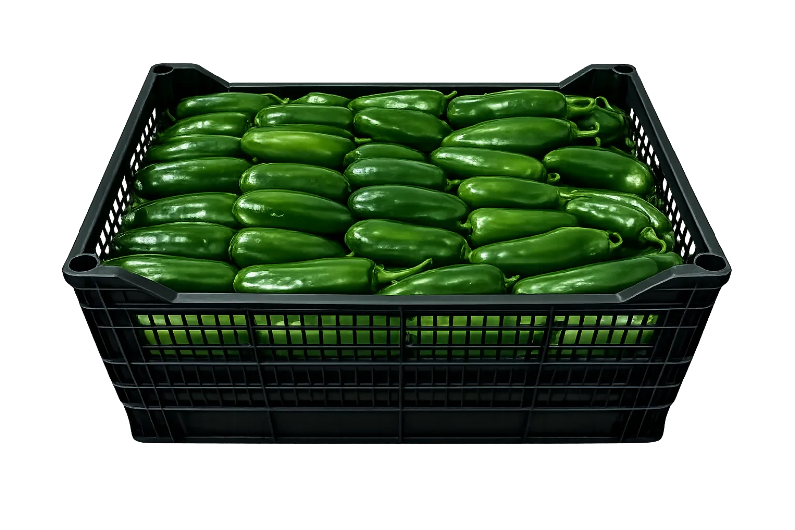 Green Jalapeño Pepper Plastic Box, 35 lb