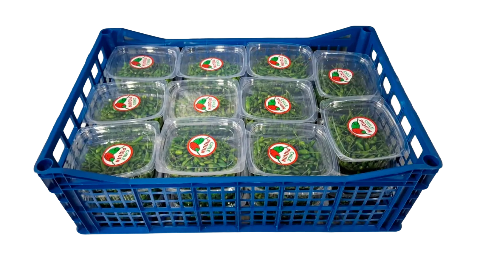 Chile Piquín Clamshell, 8 lb