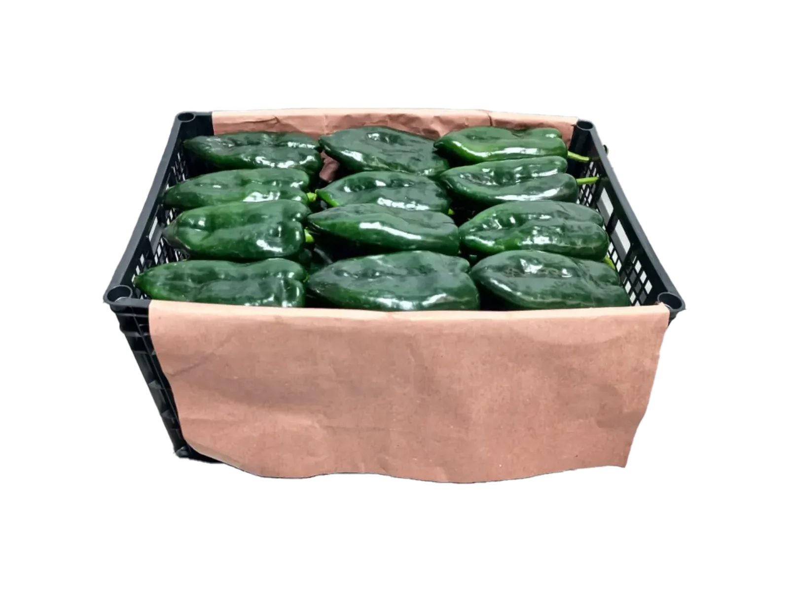 Poblano Pepper Plastic Box, 20 lb