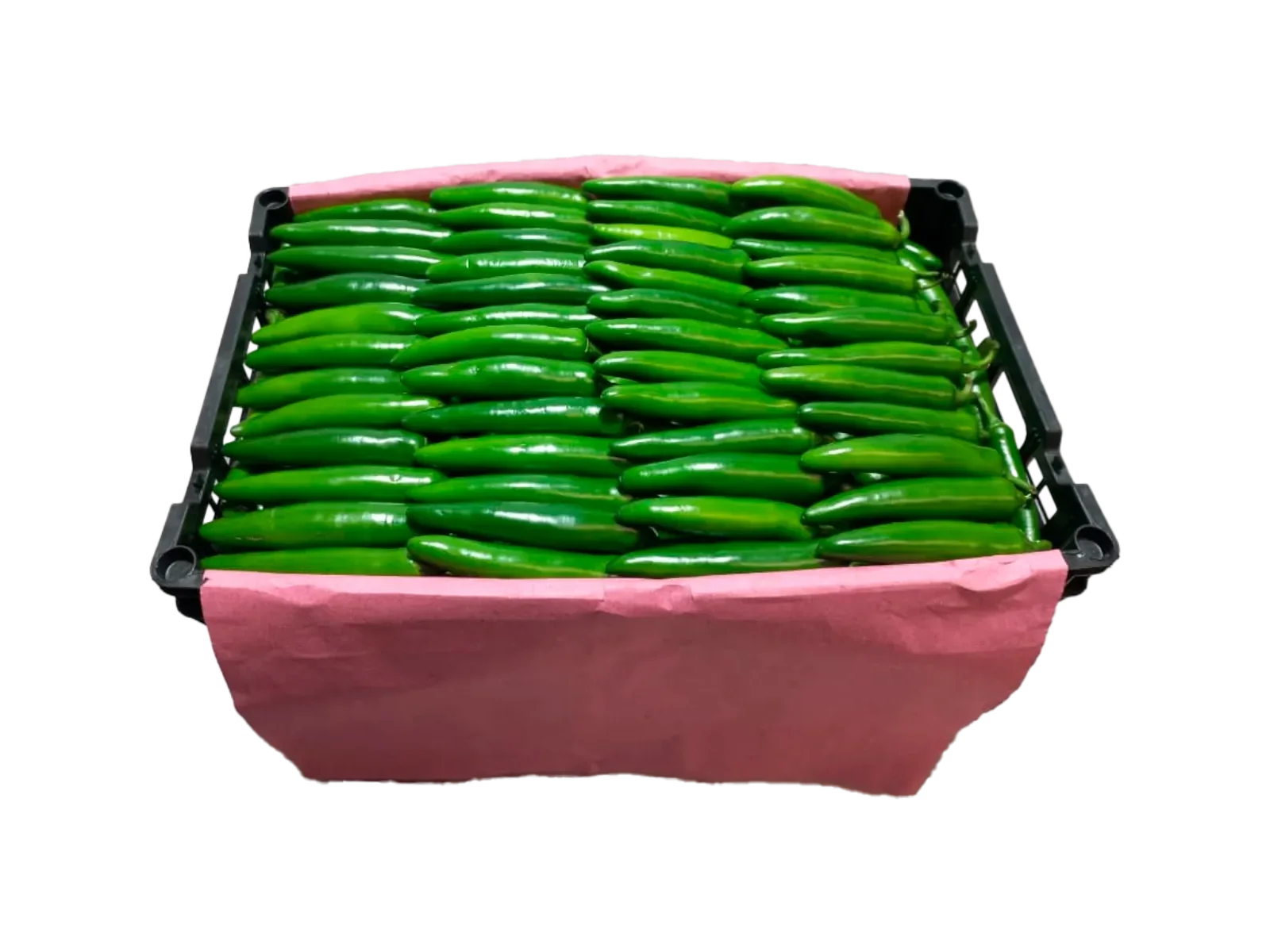 Serrano Pepper Plastic Box, 35 lb