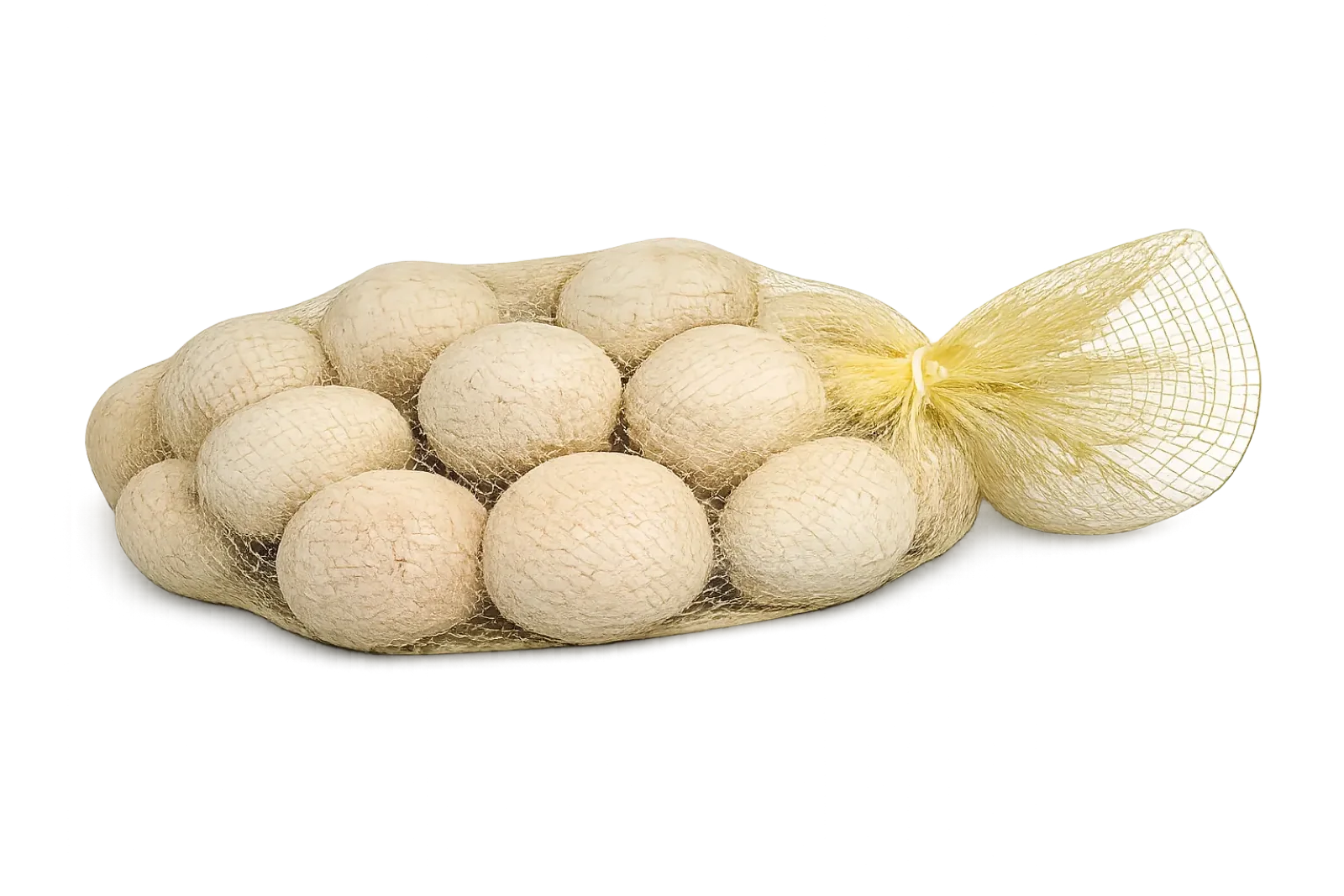 Coco Blanco, 22 pz