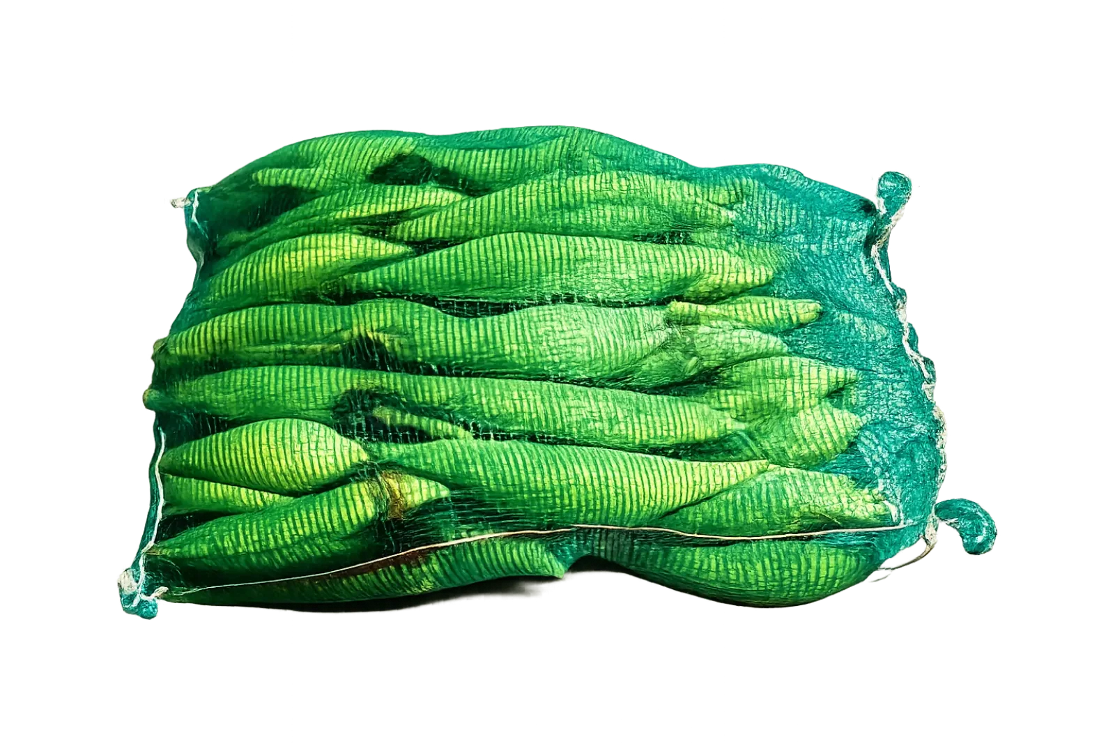 Elote Mexicano Arpilla, 50 unidades