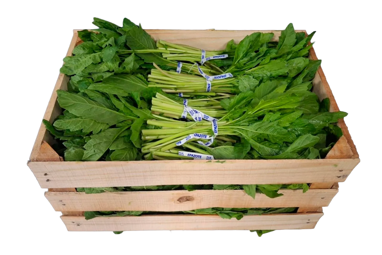 Epazote Laid Flat Wooden Crate, 42 count