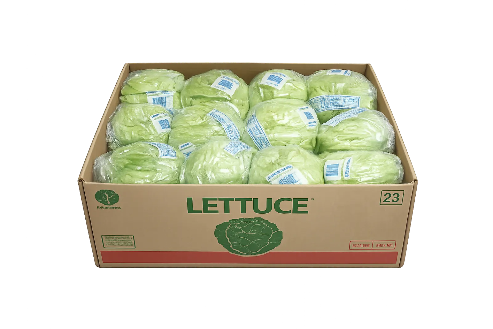 Lettuce Carton, 24 count