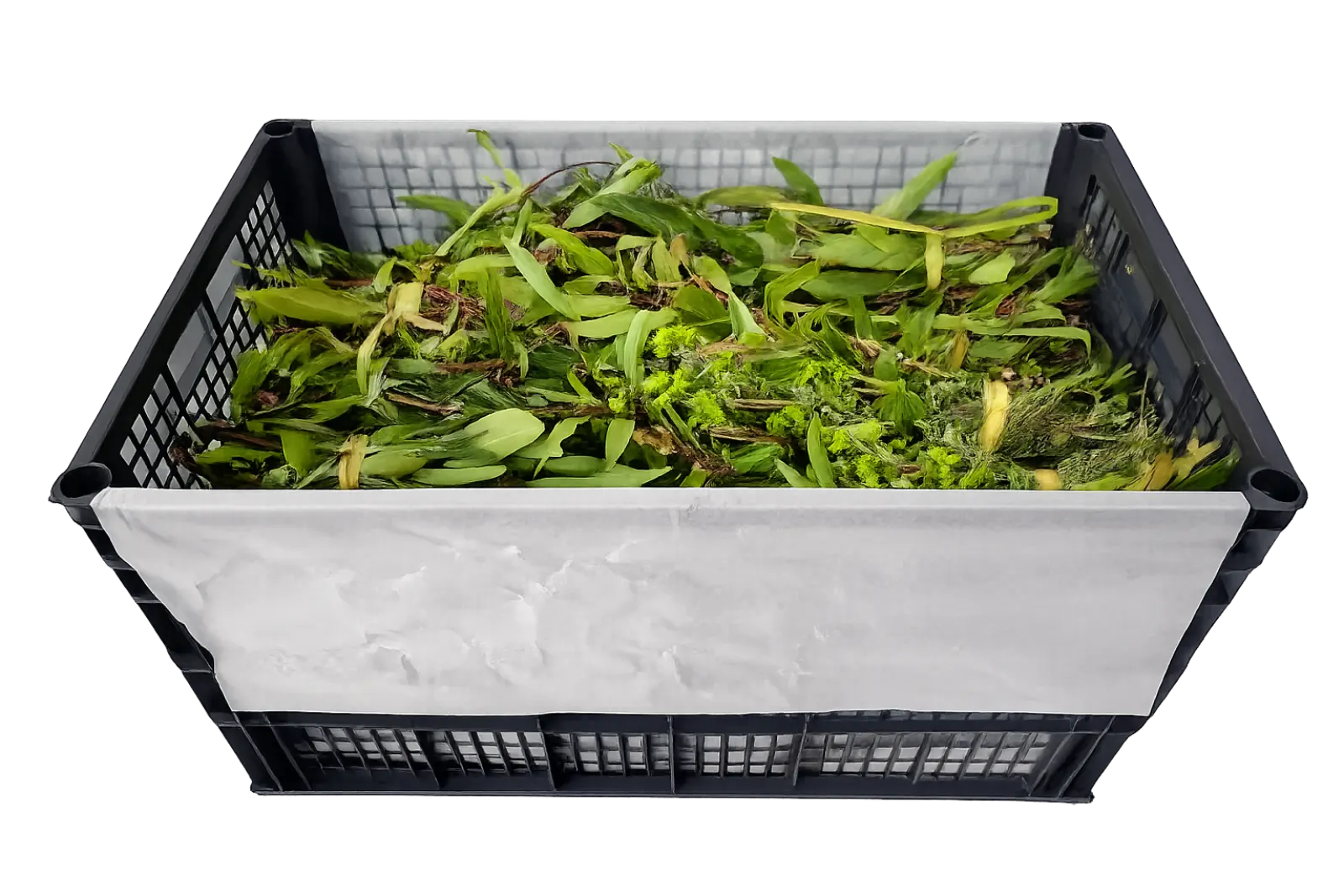 Bay Leaf, Thyme & Marjoram Mix Plastic Box, 30 count