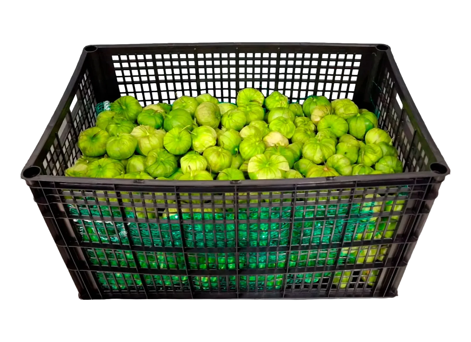 Milpero Tomatillo Plastic Box, 35 lb