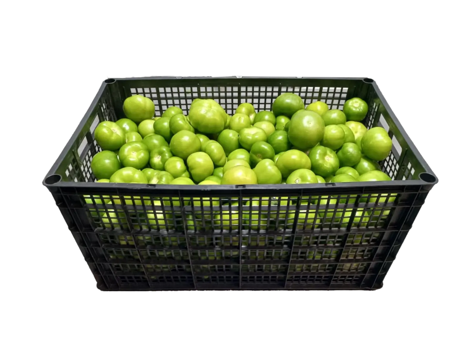 Husked Tomatillo Plastic Box, 35 lb