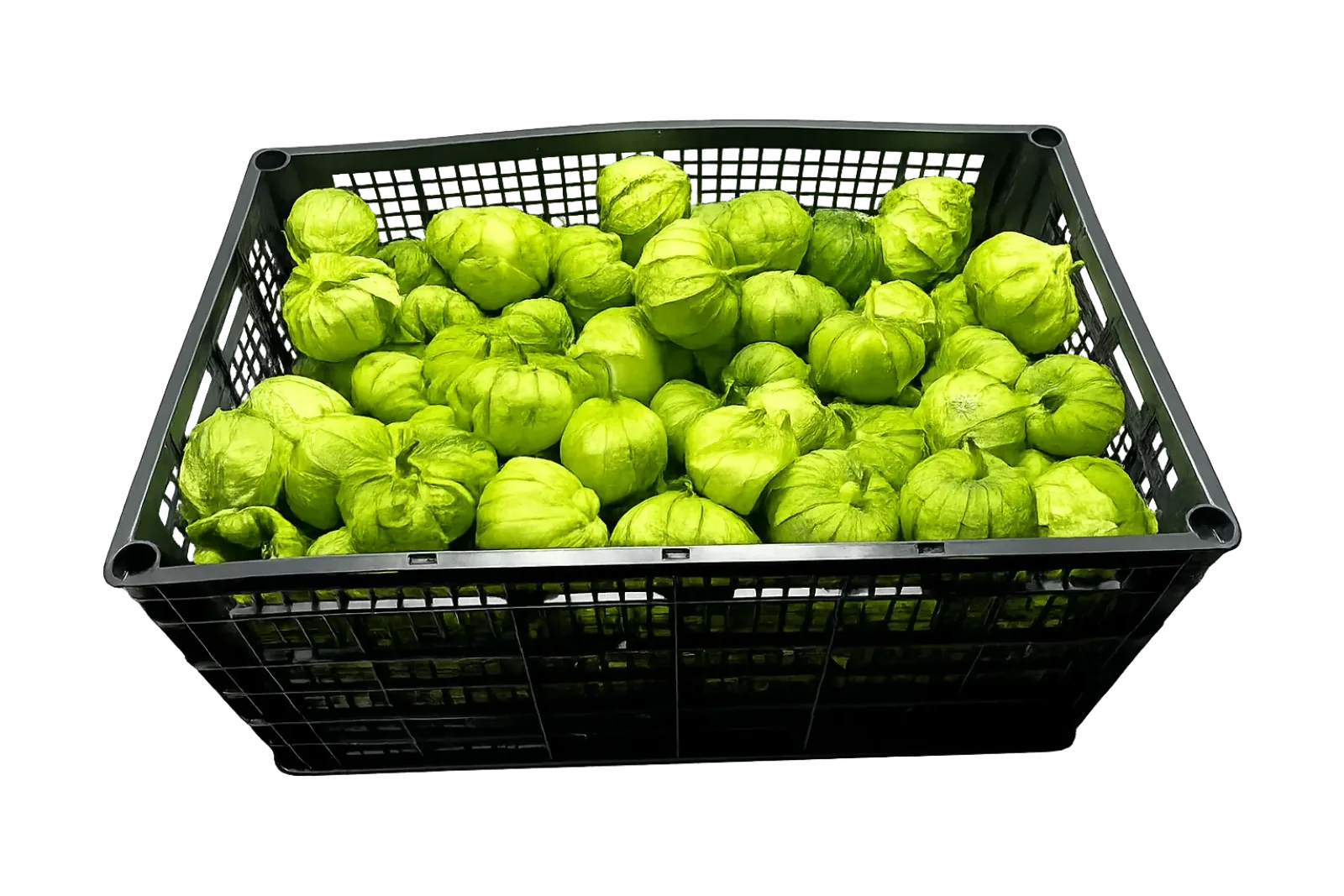 Tomatillo Plastic Box, 35 lb